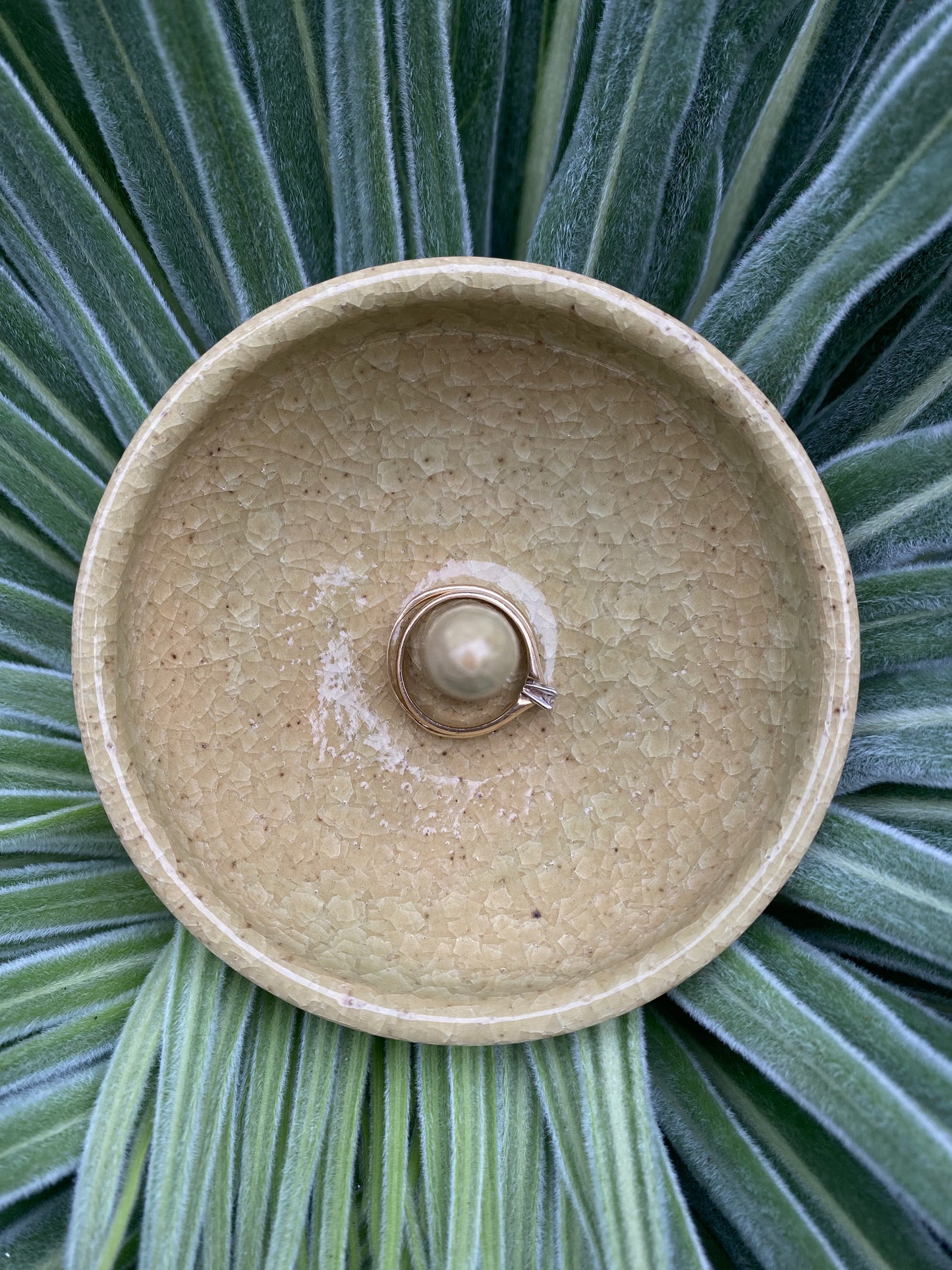 Green Crackle Ring Dish